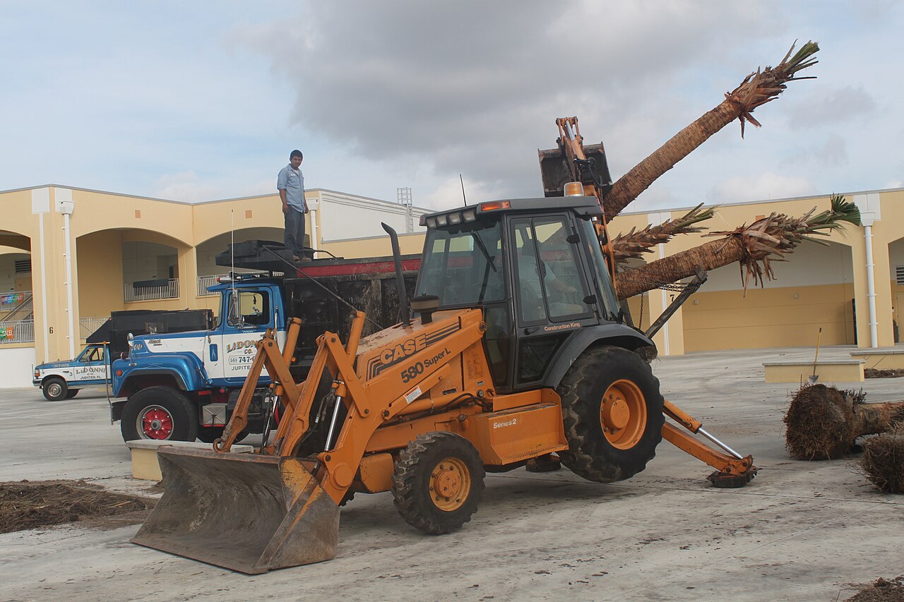 A Case 580 Super L backhoe loader loading palm trees, Florida, USA